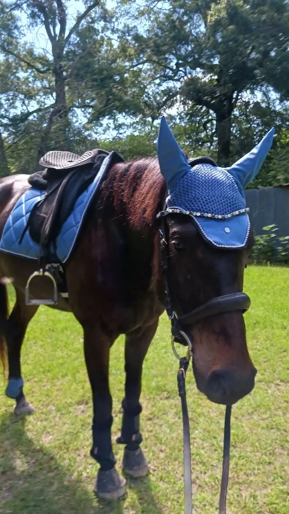 Love the Wave fly hat!!!Don't love the brushing boots.