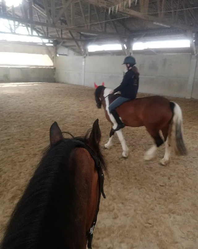 Riding bareback is one of my favourite exercises. Its great