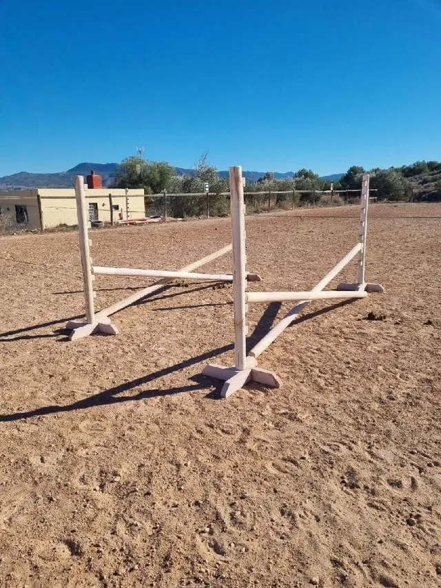 Bounce jumps. I love doing pole work with my horses and find