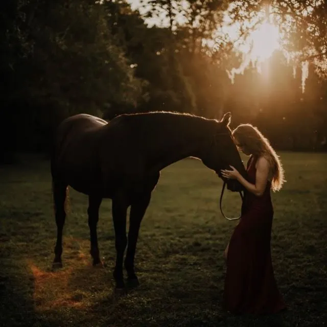 What does it mean to love a horse? What does it mean to love