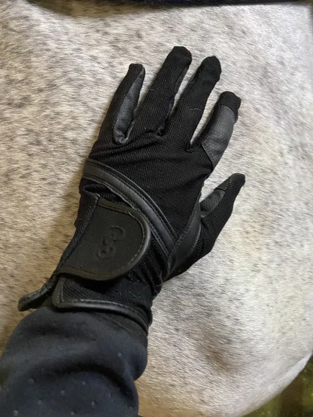 Absolutely adore PS of Sweden mesh riding gloves!