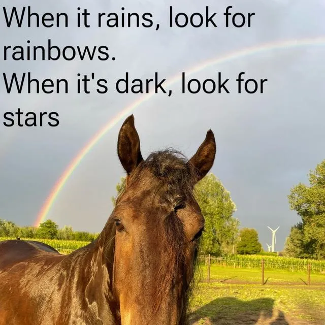 🌈When it rains, look for rainbows. When it’s dark, look for