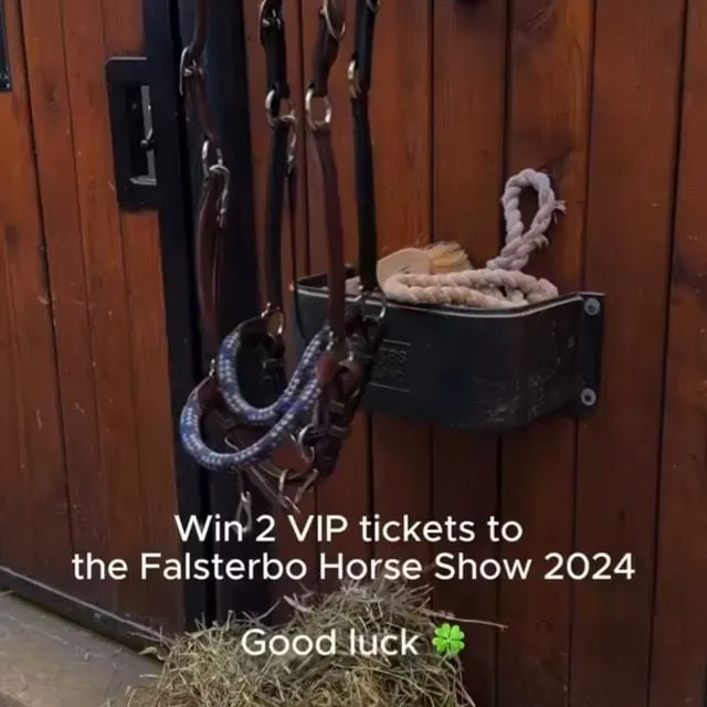 Win VIP tickets to the Falsterbo Horse Show😍