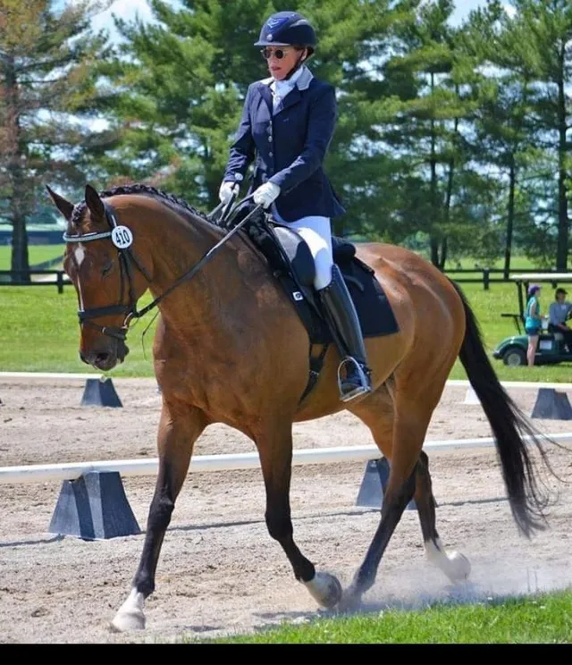 Not me, but my trainer was competing with both an older OTTB