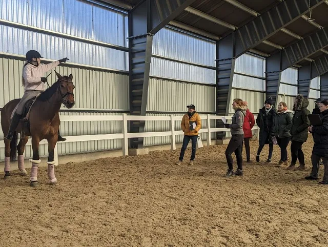 Share the best equestrian clinics and workshops attended - 2
