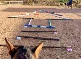 teaching the horse to walk a straight line